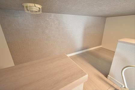 Lupinus（ルピナス） その他12