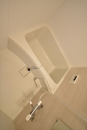 Lupinus（ルピナス） 風呂画像