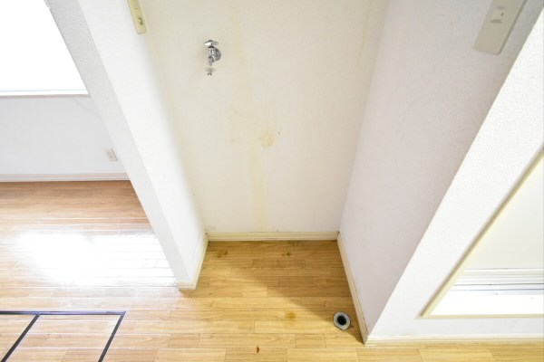 グリーンエージ その他2