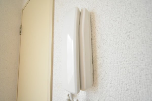 グリーンエージ その他3