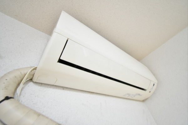 グリーンエージ その他4