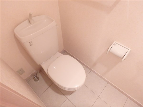 ヴェルドミール その他3