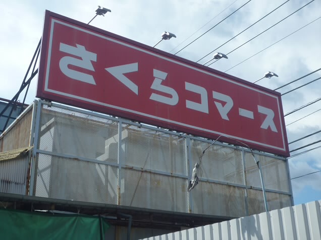 カイア 周辺画像3
