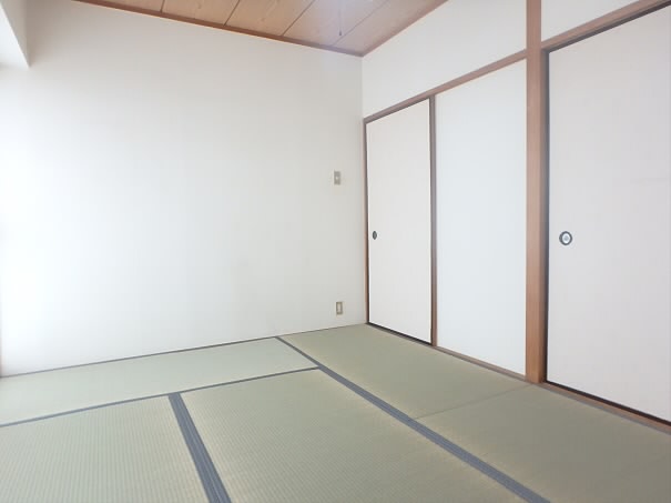 その他11