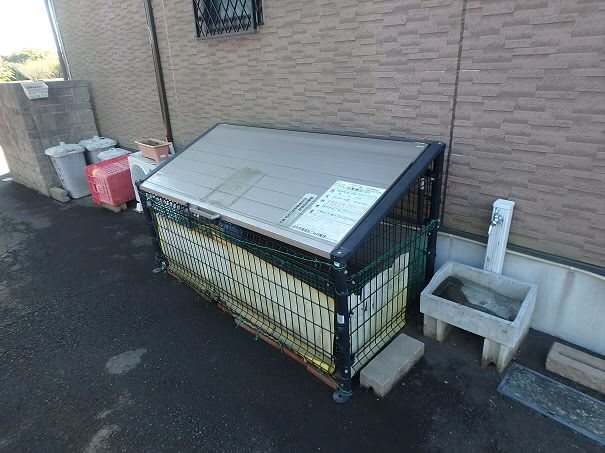 その他5
