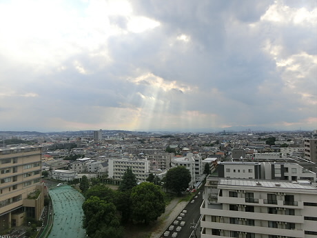 その他9