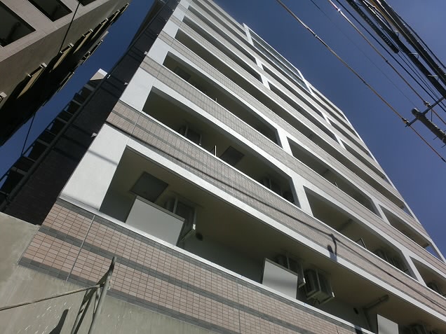 カンパニュラ　 外観