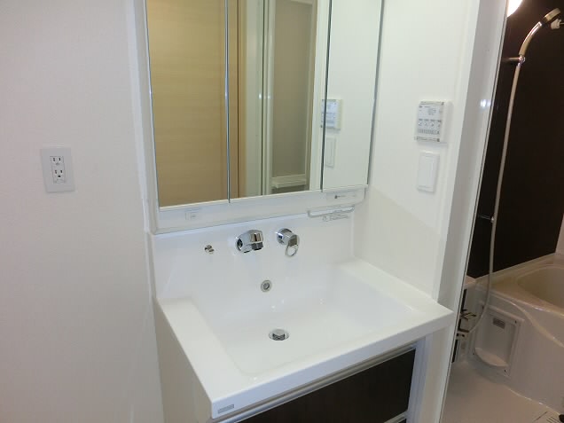 カンパニュラ　 その他2