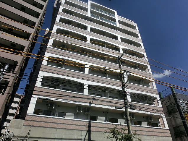 カンパニュラ　 その他8