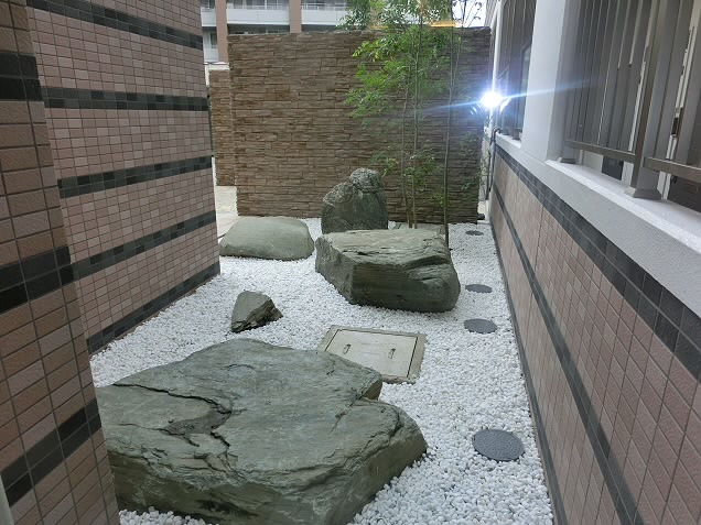 カンパニュラ　 その他10