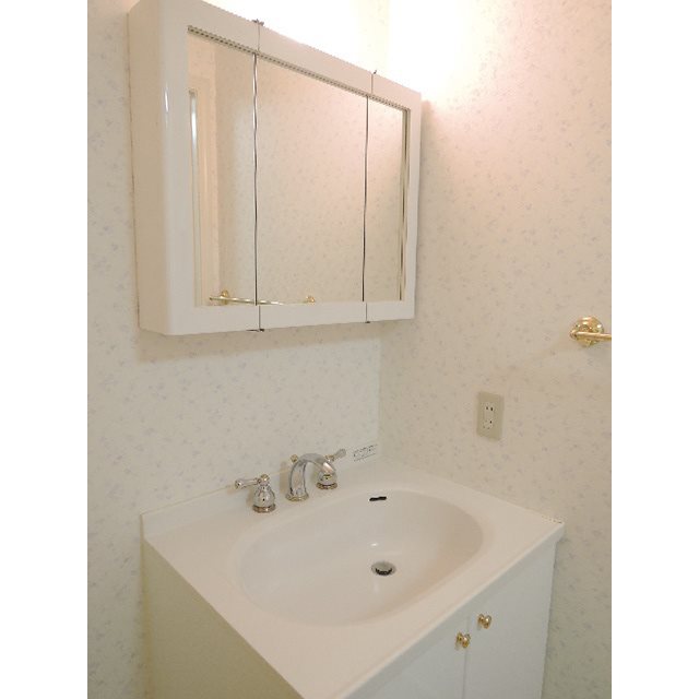 アンジェリカ その他1