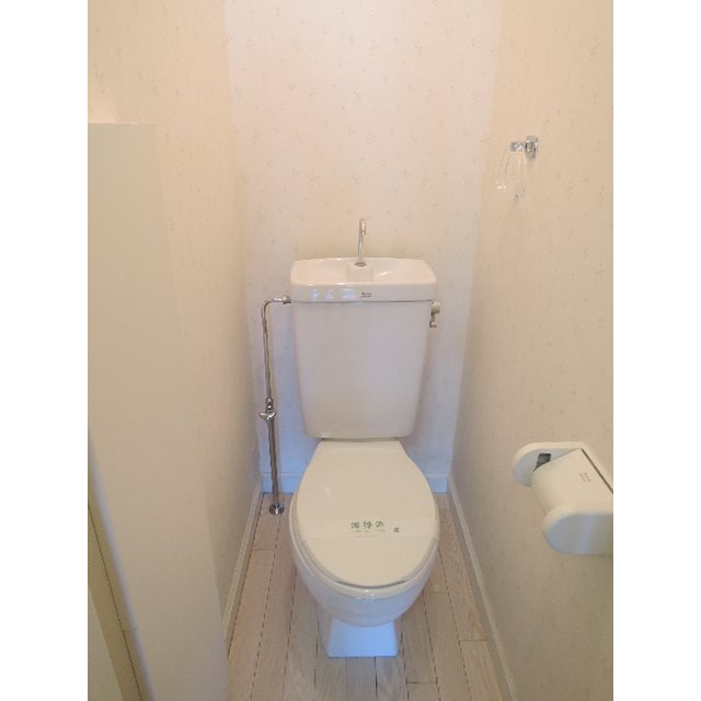 アンジェリカ その他2