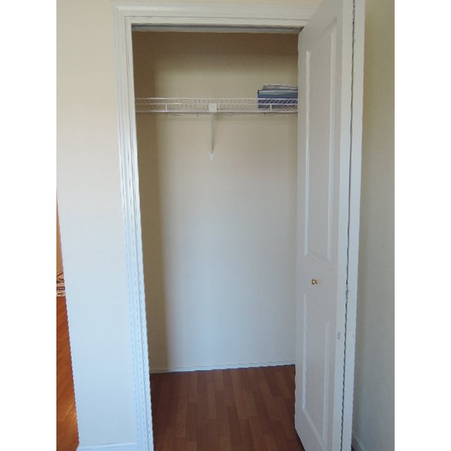 アンジェリカ その他3