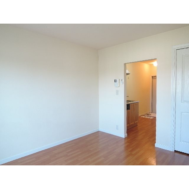 アンジェリカ その他8