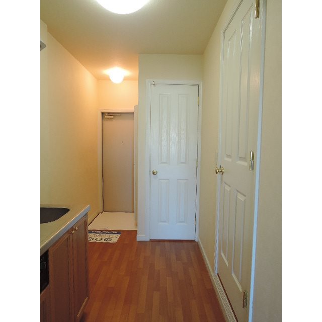 アンジェリカ その他9