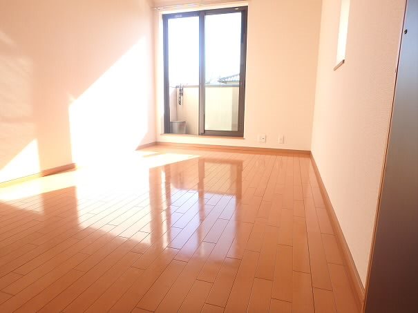 メゾンドラフィーネ リビング