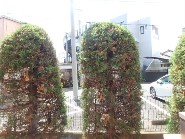ターンドール その他7