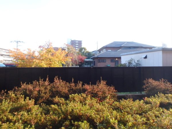 マノワール その他6