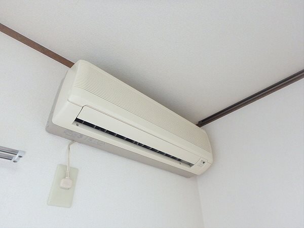 ハイムのばら その他5