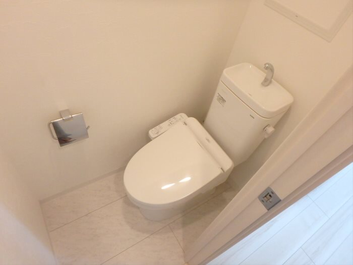 フェリーチェ国領 その他2