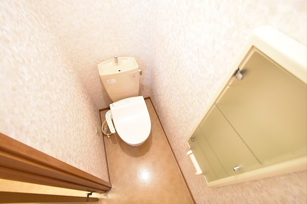 その他11