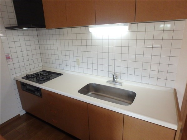 グランディフォーラ（再契約型） その他9