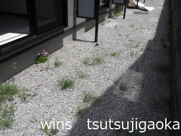 カトルセゾン調布 ベランダ