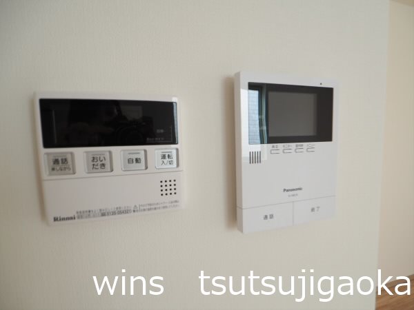 Cerulean Blue その他4