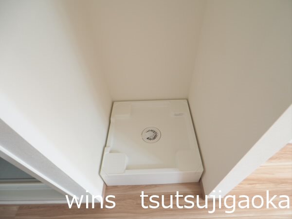 Cerulean Blue その他5