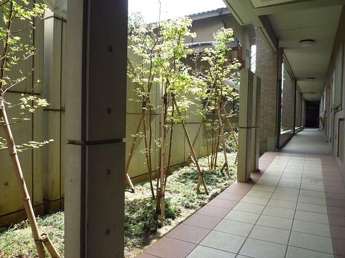 メルヴェーユ調布　 その他5