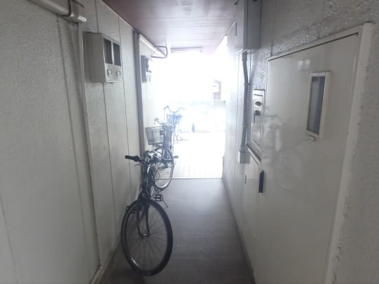 トマト その他6