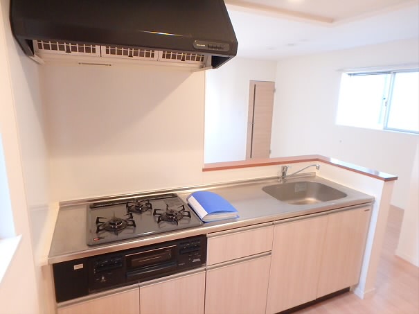 ベルベットⅢ キッチン