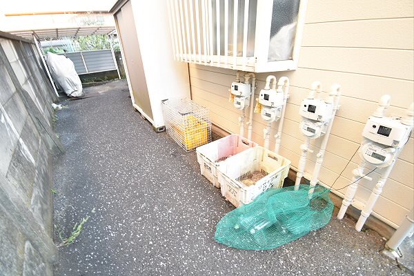 その他5