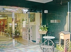 ひかり 周辺画像9