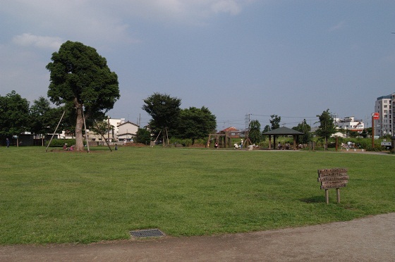 ミオカステーロ調布緑地公園 周辺画像10