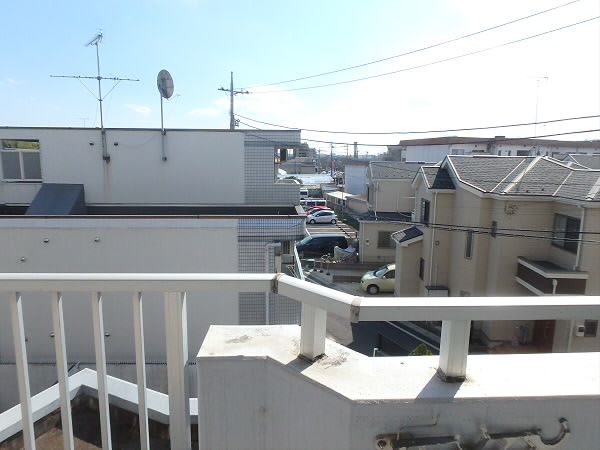 【ロイヤルシーダ】 その他6