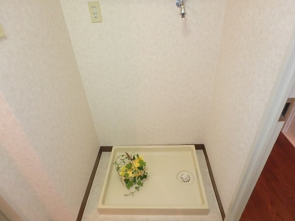 【ロイヤルシーダ】 その他12