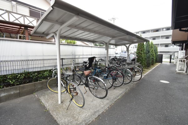 その他11