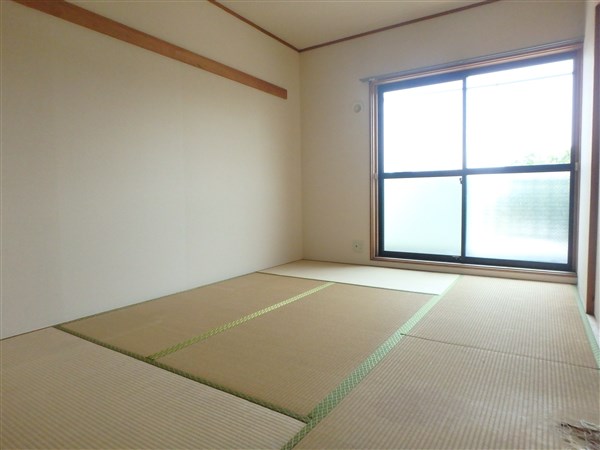 その他13
