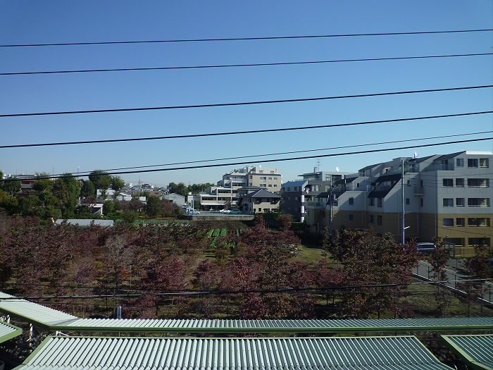 その他7