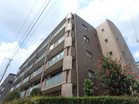 その他11