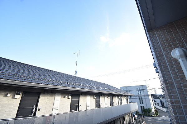 その他5