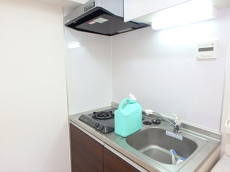 月村マンションNO.1 その他10