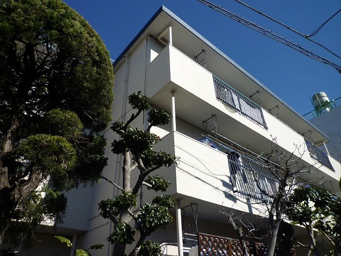 コーポ石井（定期借家3年） その他10