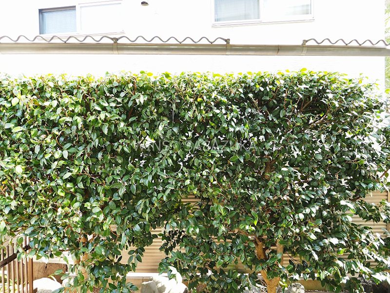 フラット羽根木 その他5