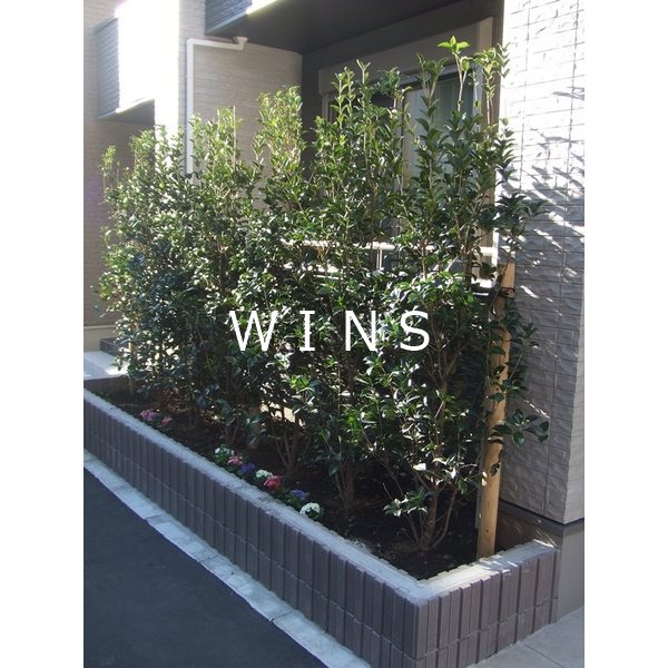 ウッドレイク その他5