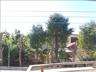 【シャルマン成城】 その他5