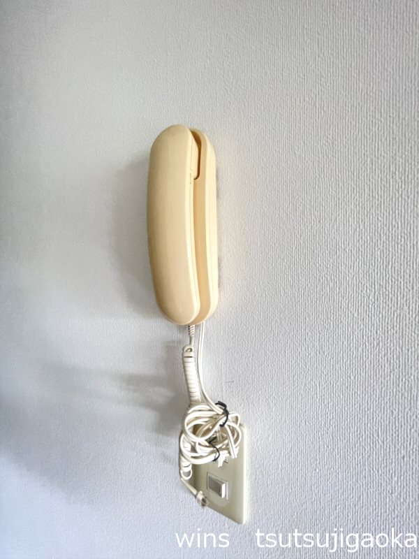 ISプラステリア2 その他1