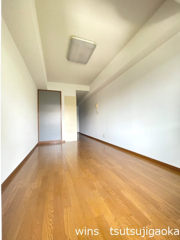 ISプラステリア その他6