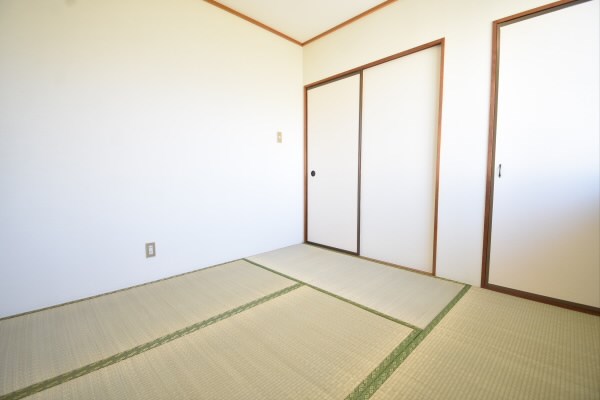 その他11
